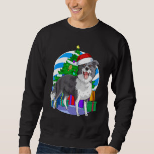 Border Collie Cute Dog Santa Christmas Tree Decor Sweatshirt