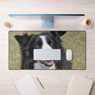 Border Collie Desk Mat