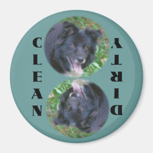 Border Collie Dishwasher Magnet