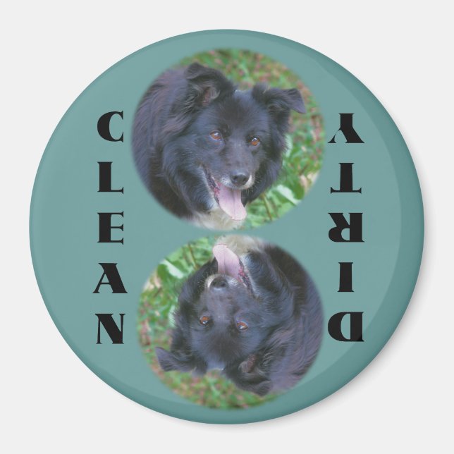 Border Collie Dishwasher Magnet (Front)