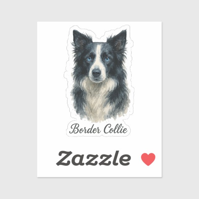 Border Collie dog (Sheet)