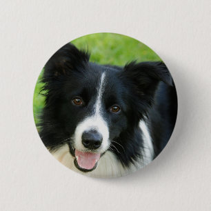 Border Collie Dog Add Text Pet 6 Cm Round Badge