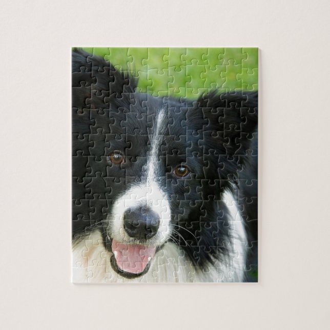 Border Collie Dog Add Text Pet Jigsaw Puzzle (Vertical)