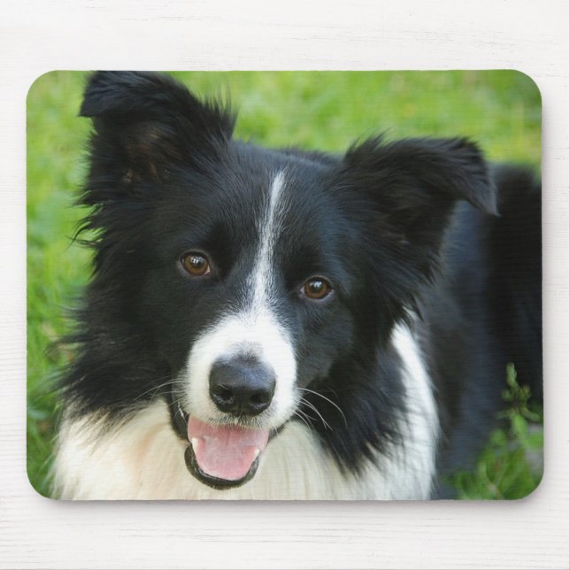 Border Collie Dog Add Text Pet Mouse Mat (Front)