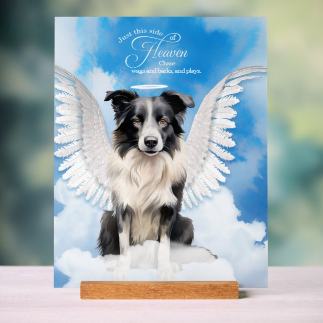 Border Collie Dog Angel with Name Pet Memorial Acrylic Sign (Neutral)