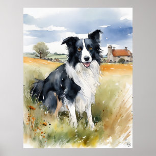 Border Collie - Dog Art Print