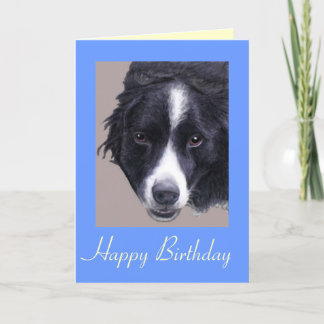 border collie dog birthday card
