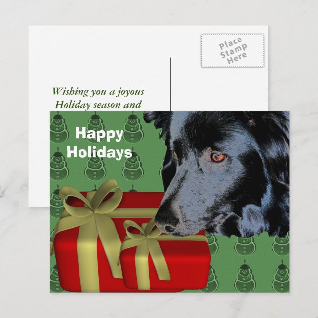 Border Collie Dog Christmas Holiday Postcard (Front/Back)