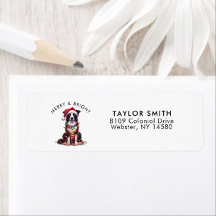 Border Collie Dog Christmas Return Address