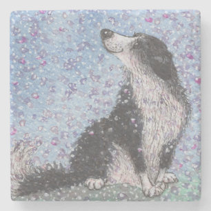 Border Collie Dog, Dreaming of Blossom Time Stone Coaster