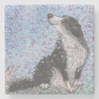Border Collie Dog, Dreaming of Blossom Time Stone Coaster