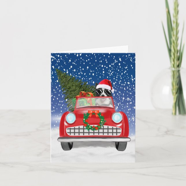 Border Collie  Dog Driving Car In Snow Christmas  Card (Front)