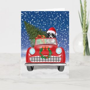 Border Collie Dog Driving Car In Snow Christmas Programme