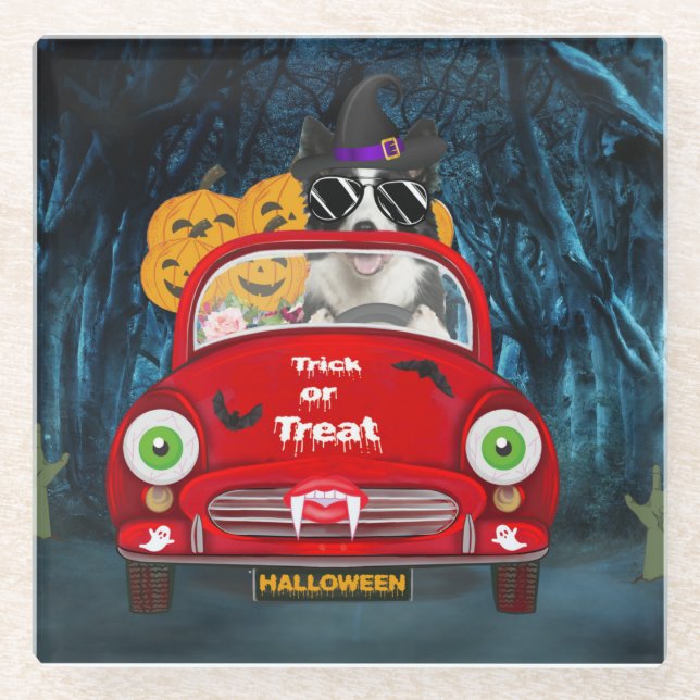 Border Collie Dog Driving Car Scary Halloween Glass Coaster (Front)