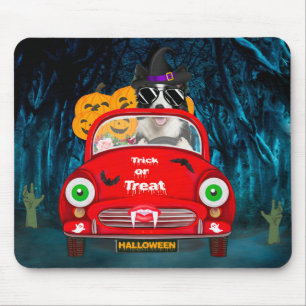 Border Collie Dog Driving Car Scary Halloween  Mouse Mat