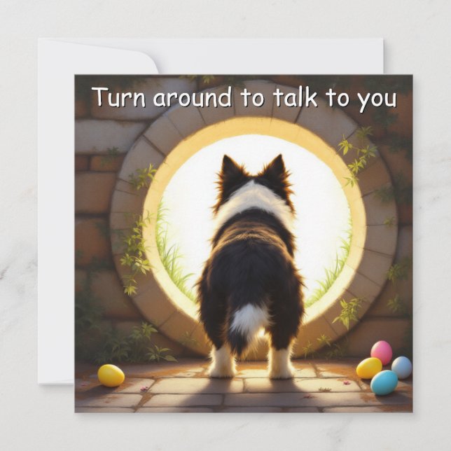 Border Collie dog - Easter  Holiday Card (Front)