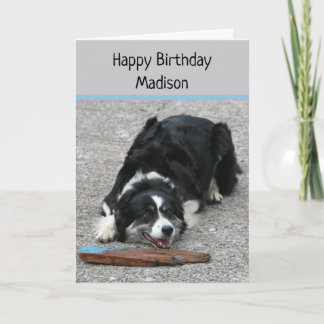 Border Collie Dog, Happy Birthday, personalised Card