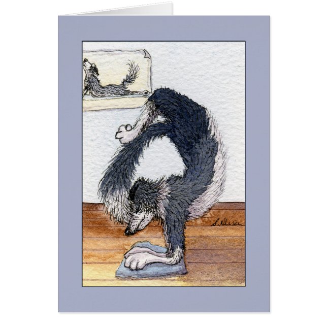 border collie dog in a yoga pose, blank card (Front)