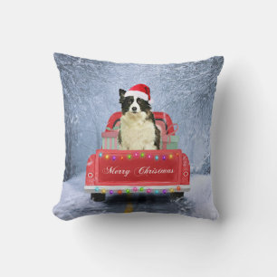 Border Collie Dog in Snow sitting in Christmas  Cushion