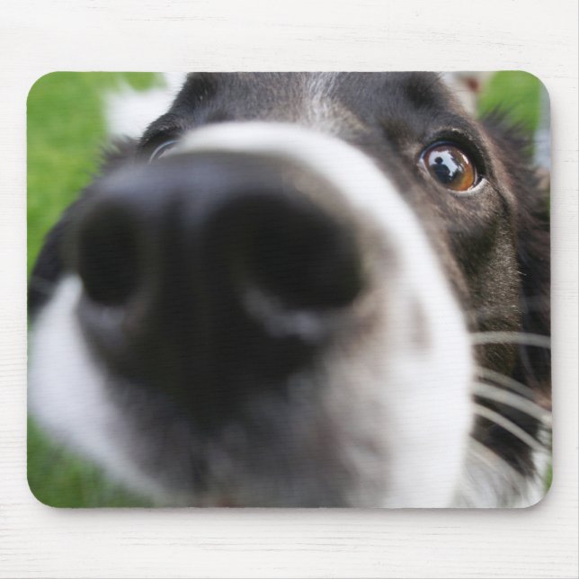 Border Collie Dog Nose Mouse Mat (Front)