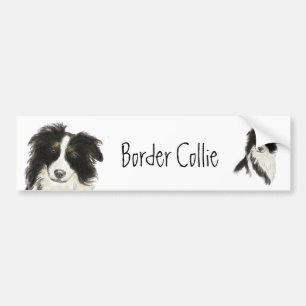 Border Collie Dog o Bumper Sticker
