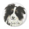 Border Collie Dog o