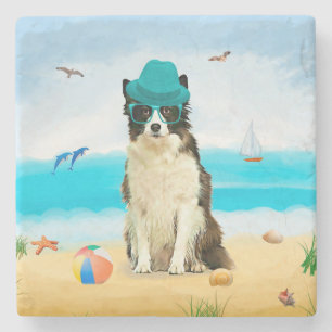 Border Collie Dog on Beach Stone Coaster
