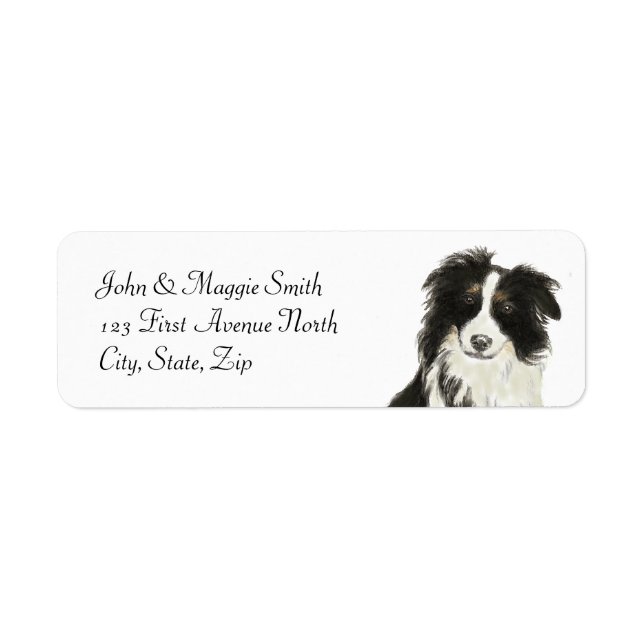 Border Collie Dog Pet Animal Custom Name Label (Front)
