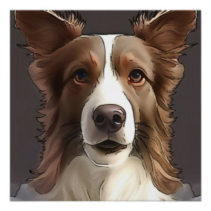 Border Collie Dog Pet Portrait Black Outline Art Poster