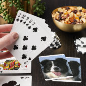 Border Collie Dog Playing Cards (In Situ)