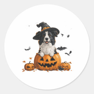 Border Collie Dog Pumpkin Halloween Thanksgiving M Classic Round Sticker