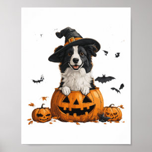 Border Collie Dog Pumpkin Halloween Thanksgiving M Poster