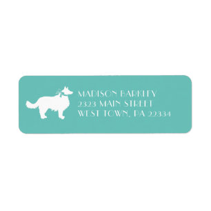 Border Collie Dog Puppy