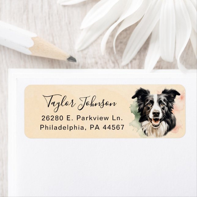 Border Collie Dog Return Address Label (Insitu)