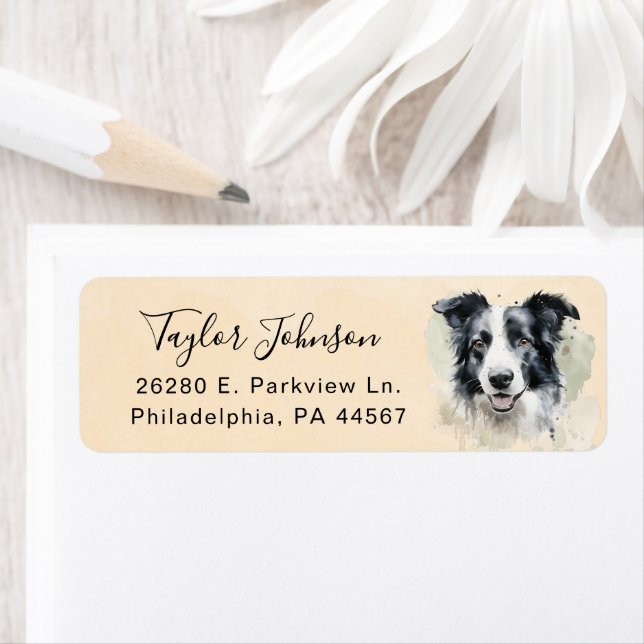 Border Collie Dog Return Address Label (Insitu)