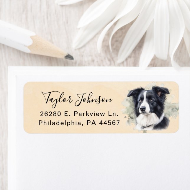 Border Collie Dog Return Address Label (Insitu)