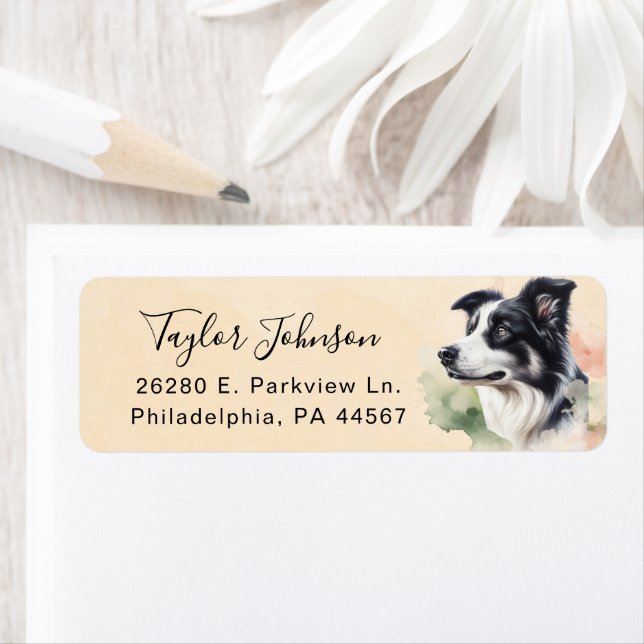 Border Collie Dog Return Address Label (Insitu)