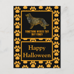 Border Collie Dog Silhouette Halloween Orange Postcard