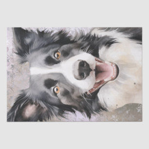 Border Collie Dog Tissue Paper
