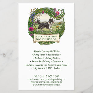 Border Collie Dog Walker Custom Business Flyer