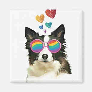 Border Collie Dog with Hearts Valentine's Day Magnet