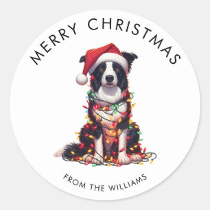 Border Collie Dog Wrapped In Christmas Light  Classic Round Sticker