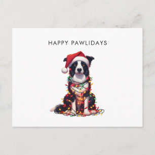 Border Collie Dog Wrapped In Christmas Light Holiday Postcard