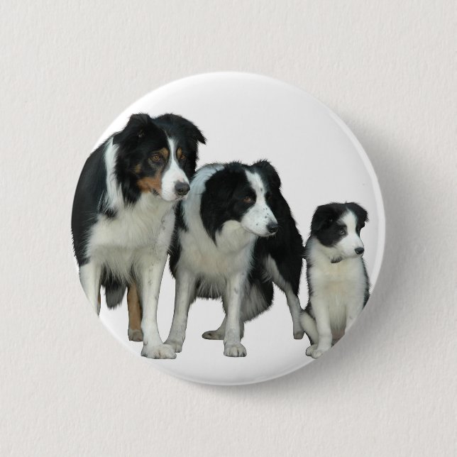 Border Collie Dogs 6 Cm Round Badge (Front)