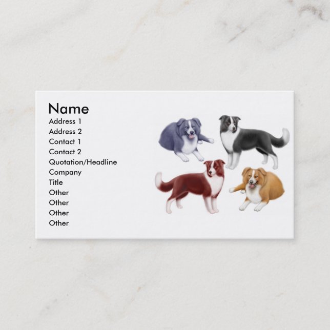 Border Collie Dogs Business Card (Front)