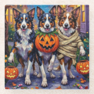 Border Collie Dogs Trick-or-Treating in Halloween Glass Coaster
