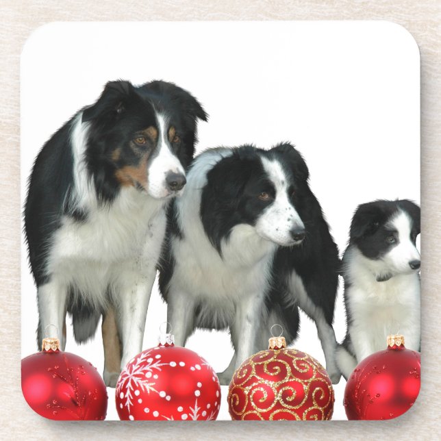 Border Collie Dogs with Red Christmas Ornaments Coaster (Front)
