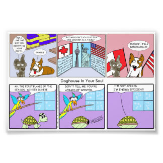 Border Collie / Energy Efficient Photo Print