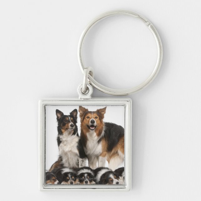 Border collie family key ring (Front)
