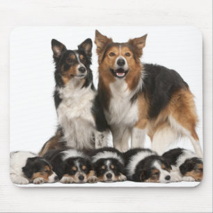 Border collie family mouse mat